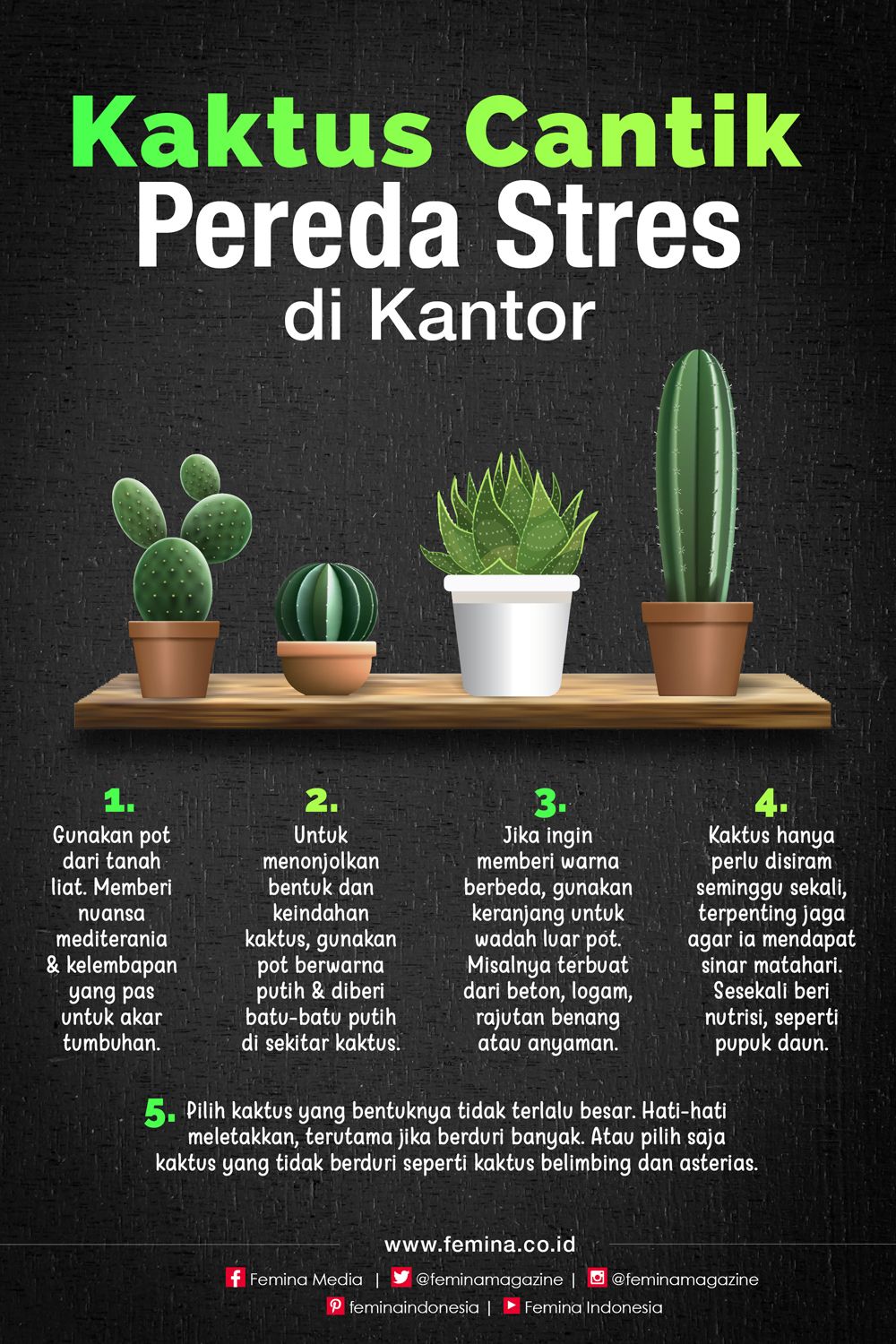 Detail Bentuk Daun Kaktus Nomer 42