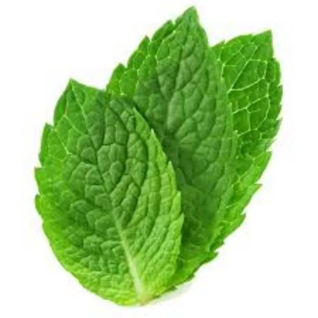 Detail Bentuk Daun Mint Nomer 52