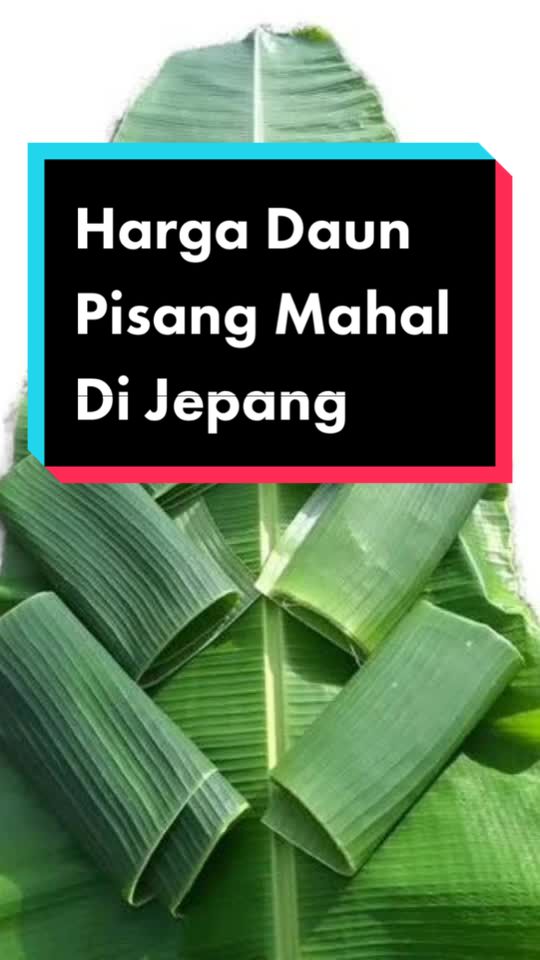 Detail Bentuk Daun Pisang Nomer 49