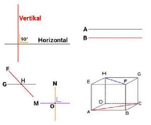 Detail Bentuk Garis Vertikal Nomer 35