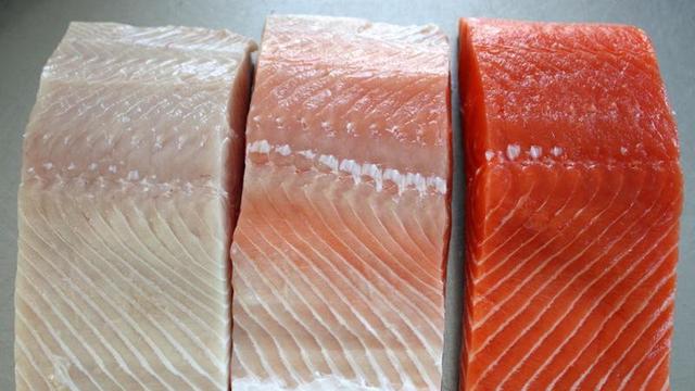 Detail Bentuk Ikan Salmon Nomer 23