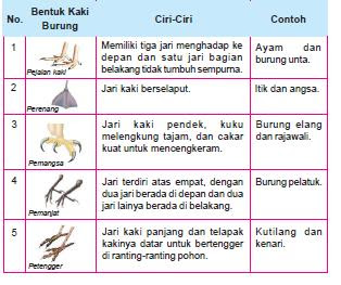 Detail Bentuk Kaki Hewan Nomer 16