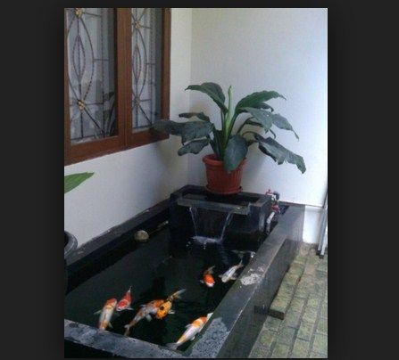 Detail Bentuk Kolam Ikan Depan Rumah Nomer 42