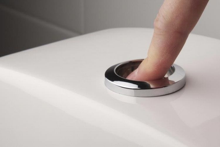 Detail Berat Badan Ideal Gambar Toilet Pria Nomer 22