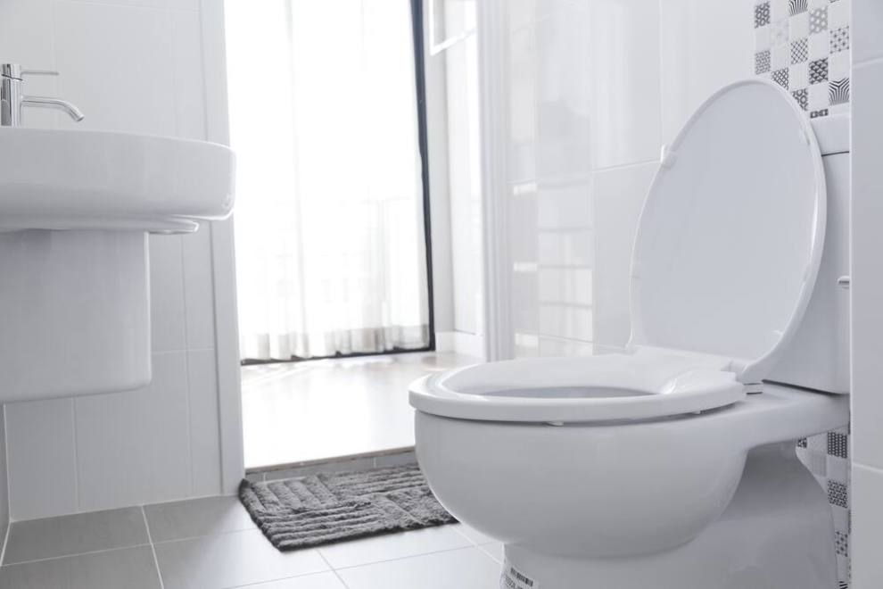Detail Berat Badan Ideal Gambar Toilet Pria Nomer 26