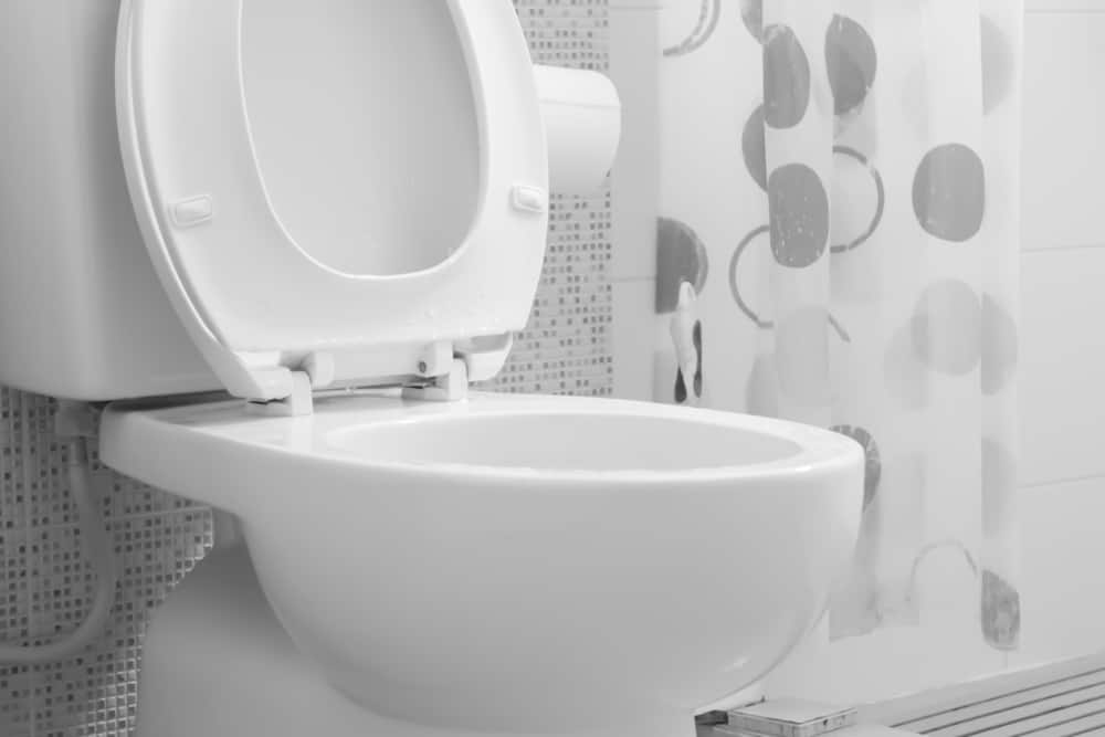 Detail Berat Badan Ideal Gambar Toilet Pria Nomer 52