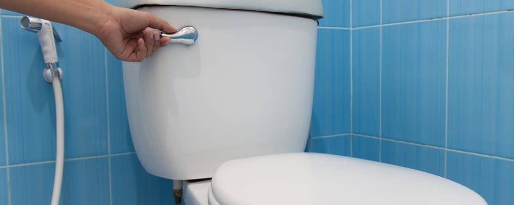 Detail Berat Badan Ideal Gambar Toilet Pria Nomer 53