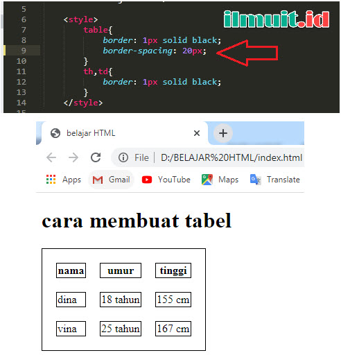 Detail Berbagai Posisi Gambar Dalam Tabel Html Koleksi Nomer 15
