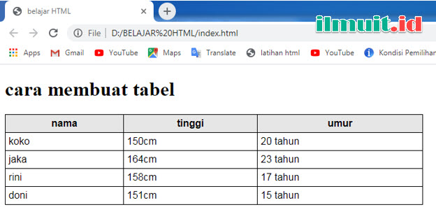 Detail Berbagai Posisi Gambar Dalam Tabel Html Nomer 18