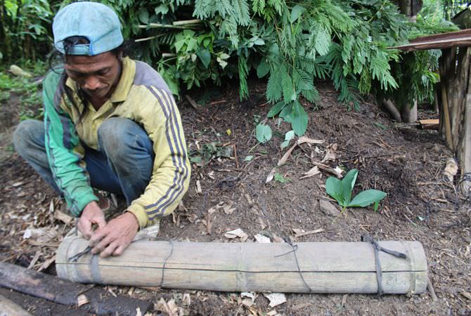 Detail Berburu Di Hutan Liar Nomer 39