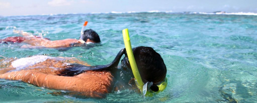 Detail Berenang Di Laut Nomer 21