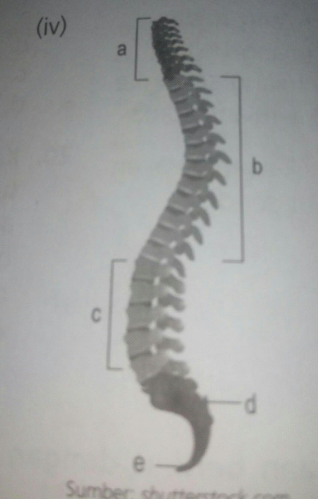 Detail Berikan Keterangan Gambar Rangka Berikut Nomer 6