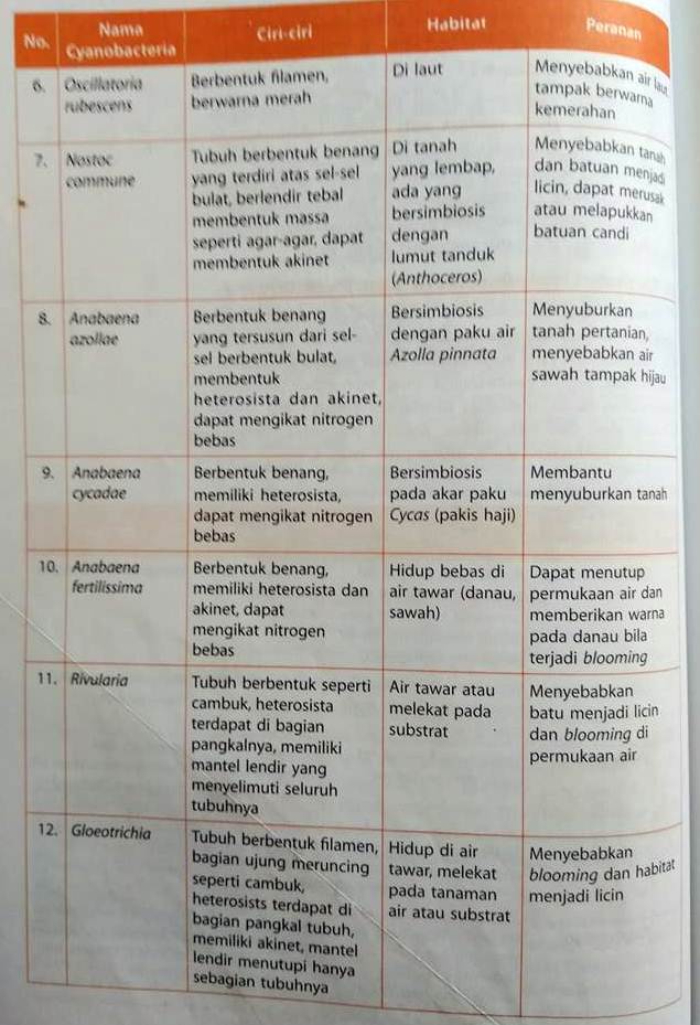 Detail Berikut Ini Contoh Nomer 36