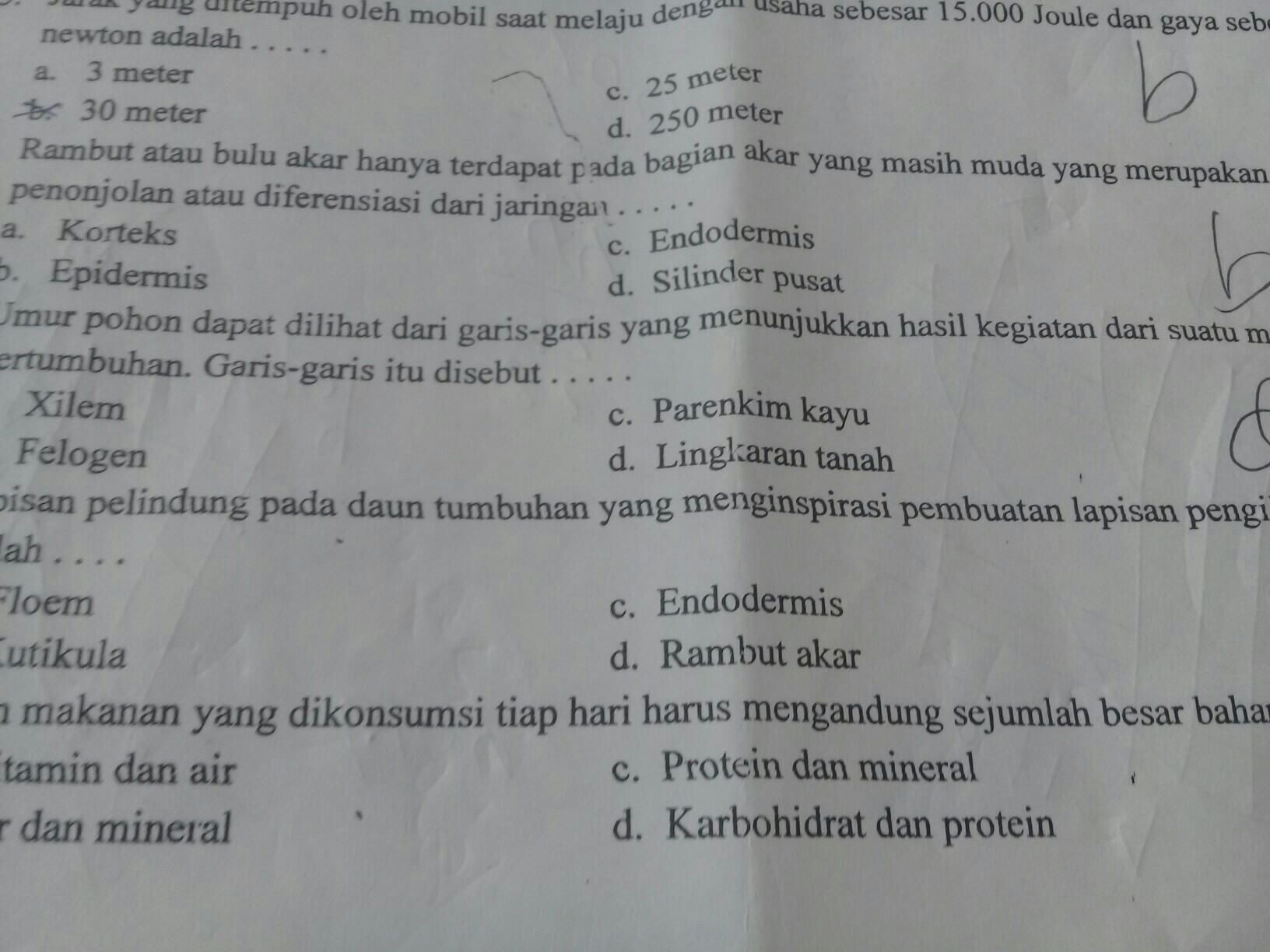 Berikut Ini Merupakan Contoh Otot Yang Bekerja - KibrisPDR