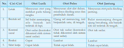 Detail Berikut Ini Merupakan Contoh Otot Yang Bekerja Nomer 10