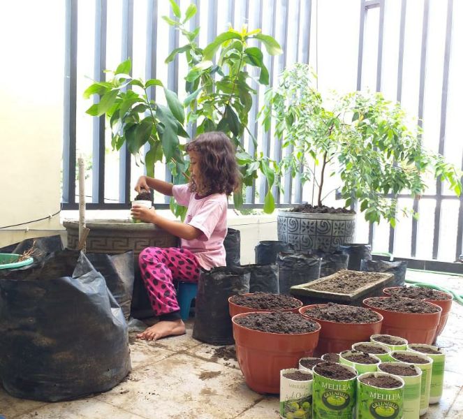 Detail Berkebun Di Halaman Rumah Nomer 14