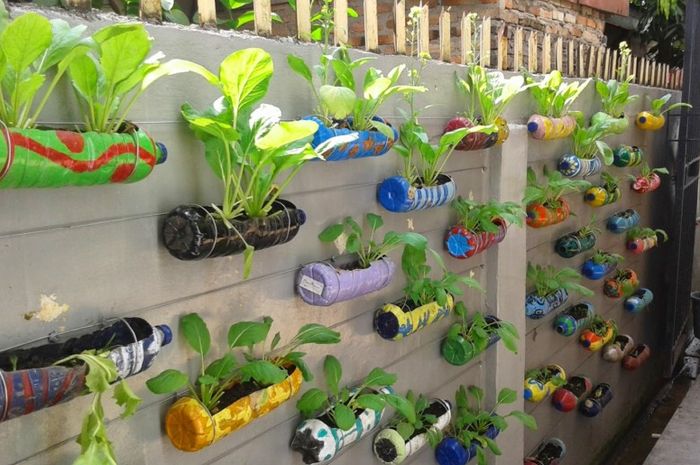 Detail Berkebun Di Halaman Rumah Nomer 24