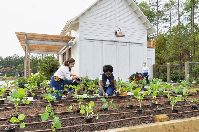 Detail Berkebun Di Halaman Rumah Nomer 37