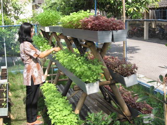 Detail Berkebun Di Halaman Rumah Nomer 38