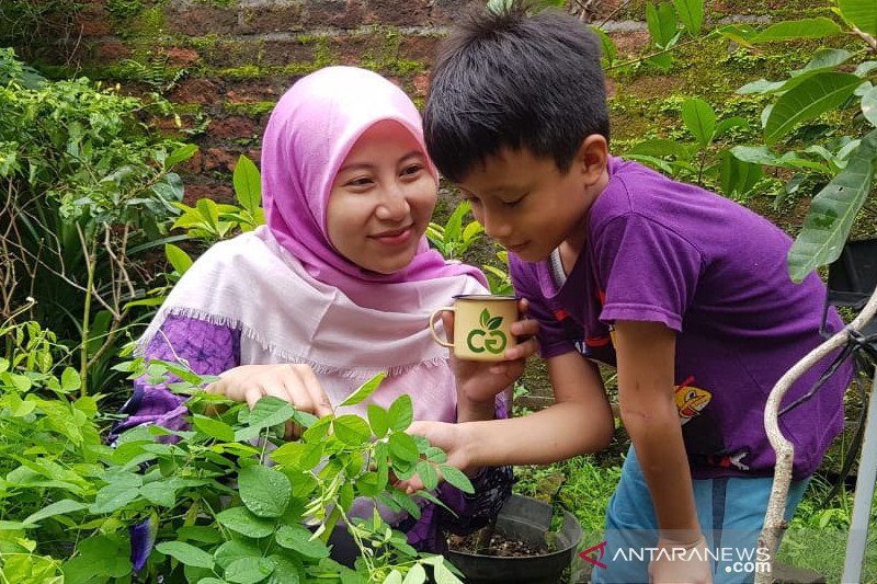 Detail Berkebun Di Halaman Rumah Nomer 45