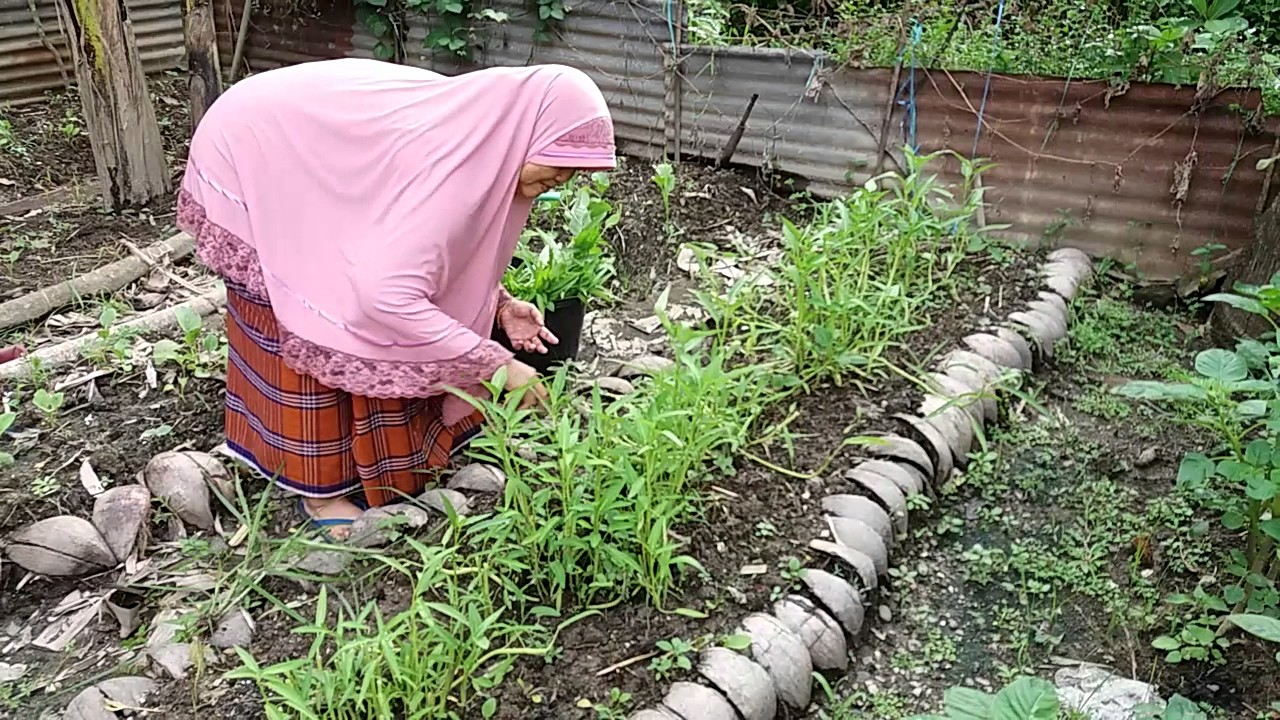 Detail Berkebun Di Pekarangan Rumah Nomer 16