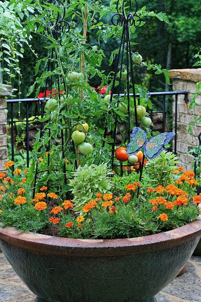 Detail Berkebun Di Pekarangan Rumah Nomer 19