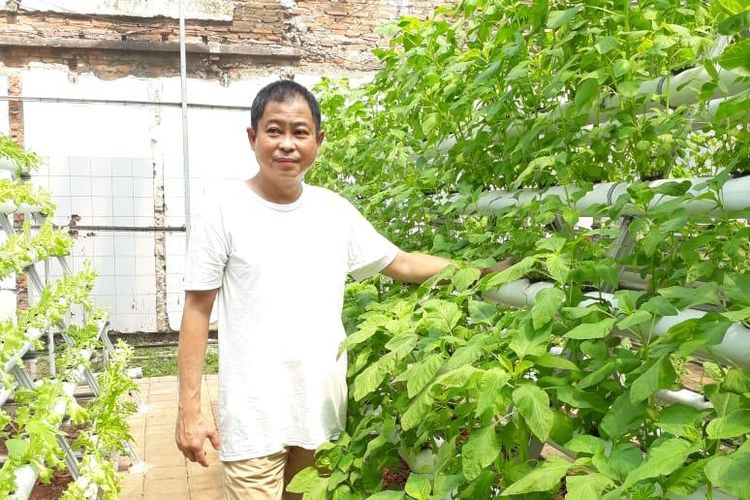 Detail Berkebun Di Pekarangan Rumah Nomer 32