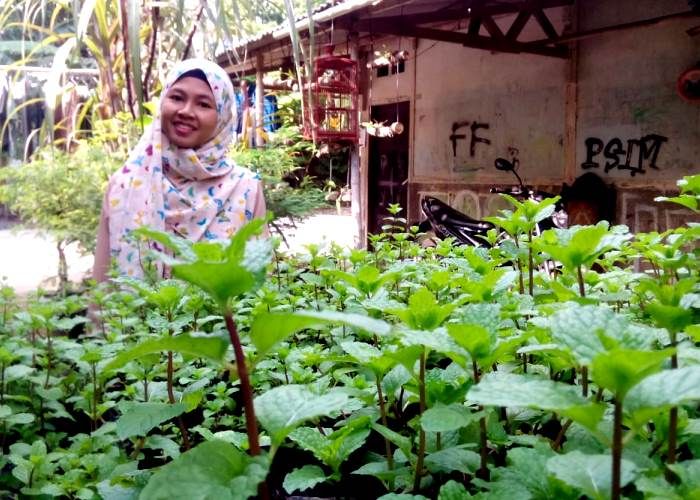 Detail Berkebun Di Rumah Yang Menghasilkan Nomer 26