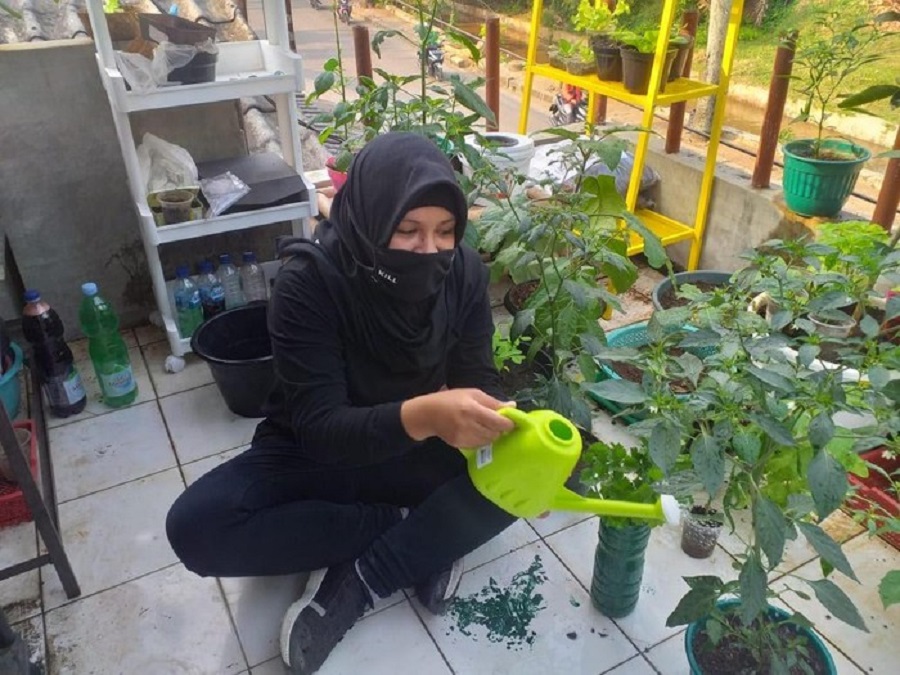 Detail Berkebun Di Rumah Yang Menghasilkan Nomer 38