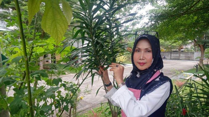 Detail Berkebun Di Rumah Yang Menghasilkan Nomer 50