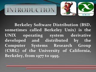 Detail Berkeley Software Distribution Bsd Nomer 53