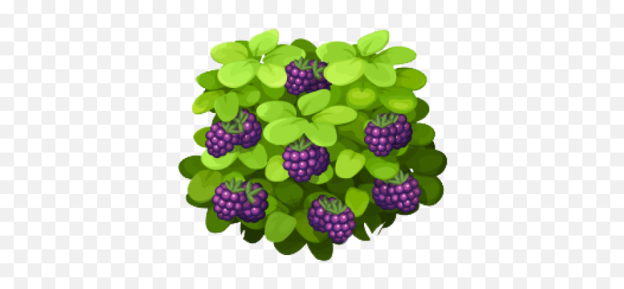 Detail Berry Bush Png Nomer 39