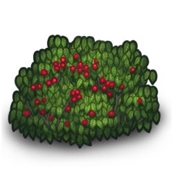 Detail Berry Bush Png Nomer 9