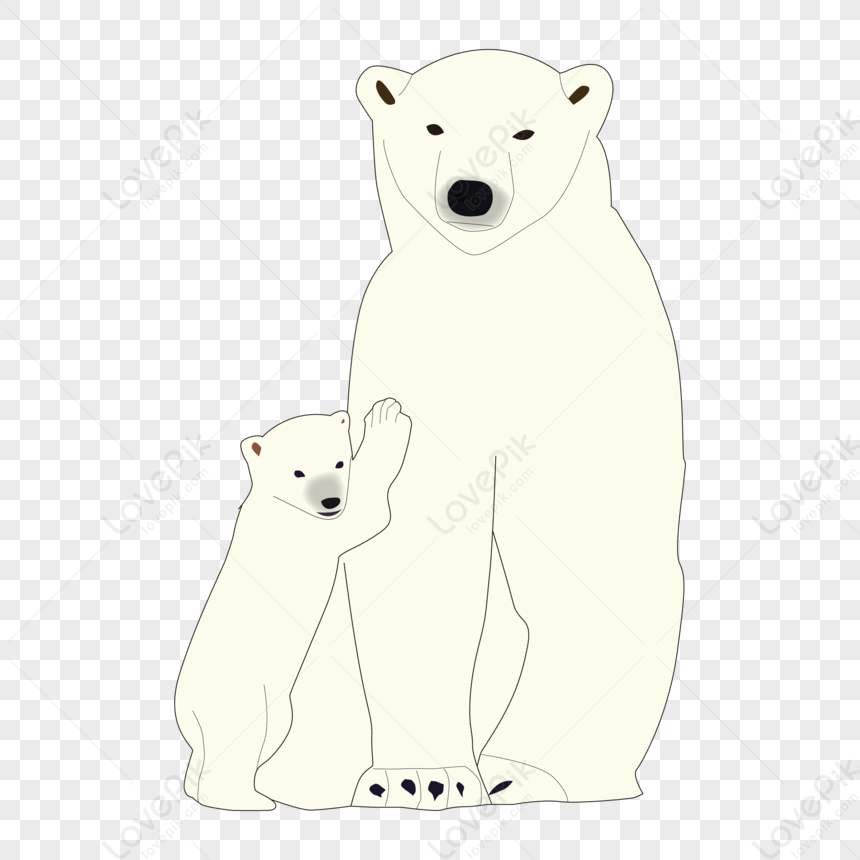 Detail Beruang Kutub Png Nomer 33