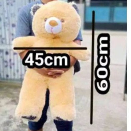 Detail Beruang Lucu Nomer 30