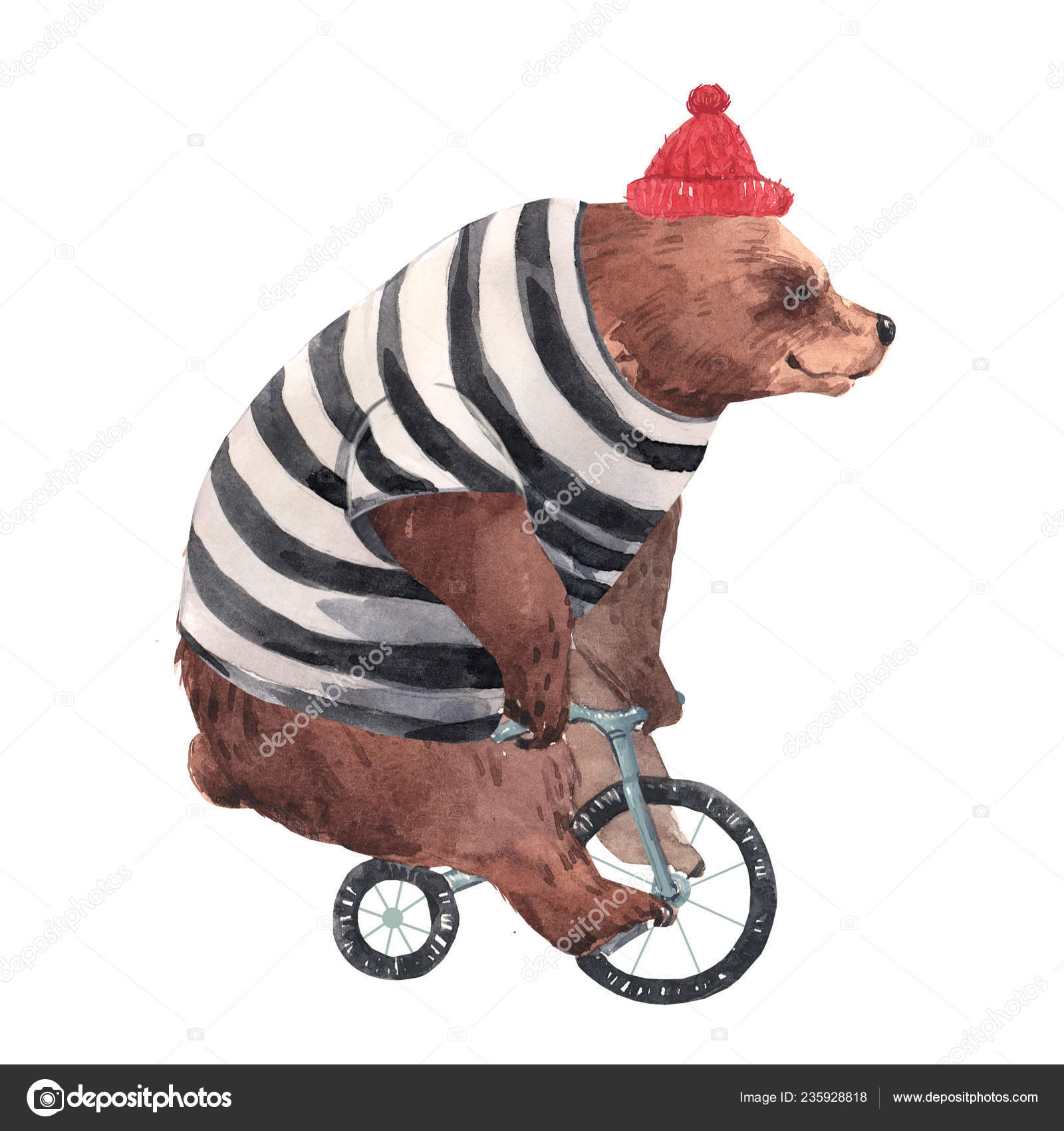 Detail Beruang Naik Sepeda Nomer 6