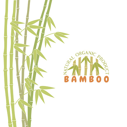 Detail Besek Vector Nomer 30