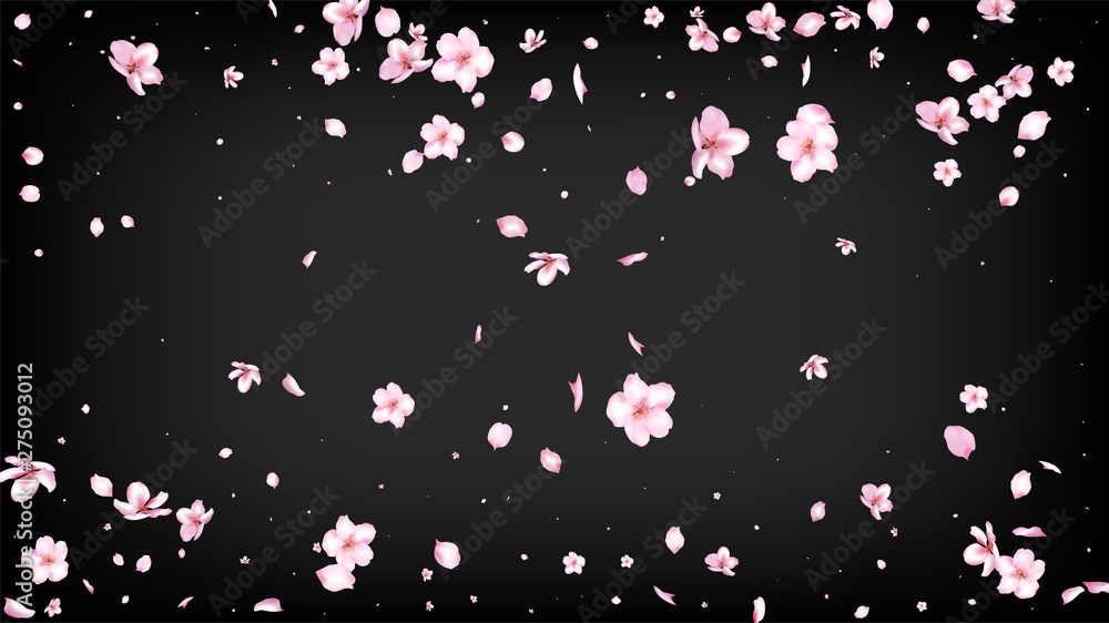 Detail Besek Vector Nomer 32