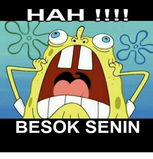 Detail Besok Senin Meme Nomer 15