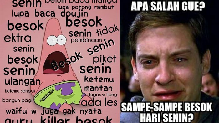 Detail Besok Senin Meme Nomer 4