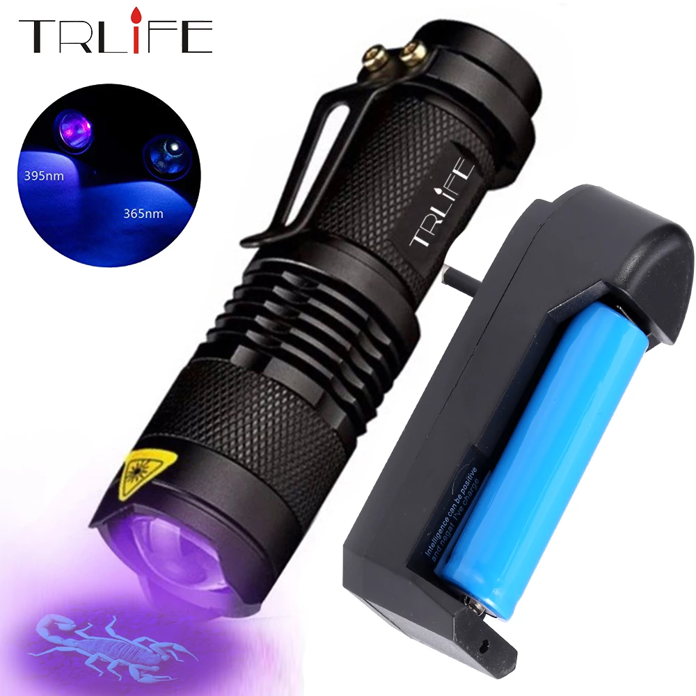 Detail Best Black Light Flashlight For Scorpions Nomer 28