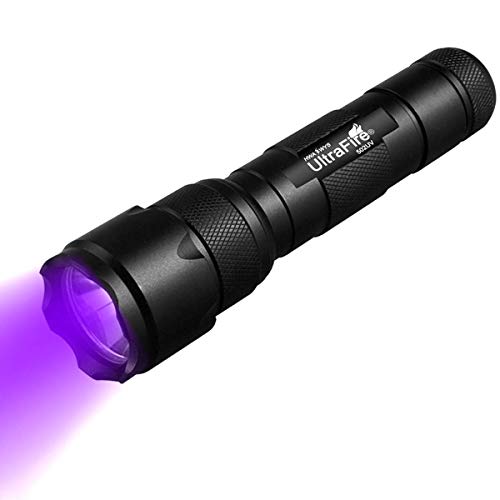 Detail Best Black Light Flashlight For Scorpions Nomer 43