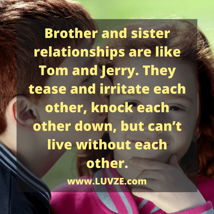 Detail Best Brother And Sister Quotes Nomer 17