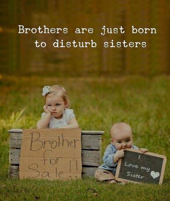Detail Best Brother Sister Quotes Nomer 44