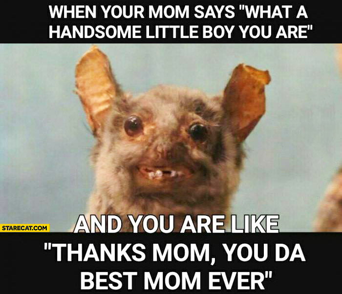 Detail Best Mom Ever Meme Nomer 22