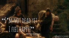 Detail Best Monty Python Quotes Nomer 21