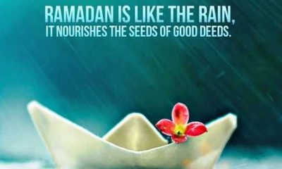 Detail Best Quotes On Ramadan Nomer 51