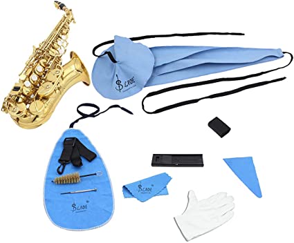 Best Saxophone Cleaning Kit - KibrisPDR