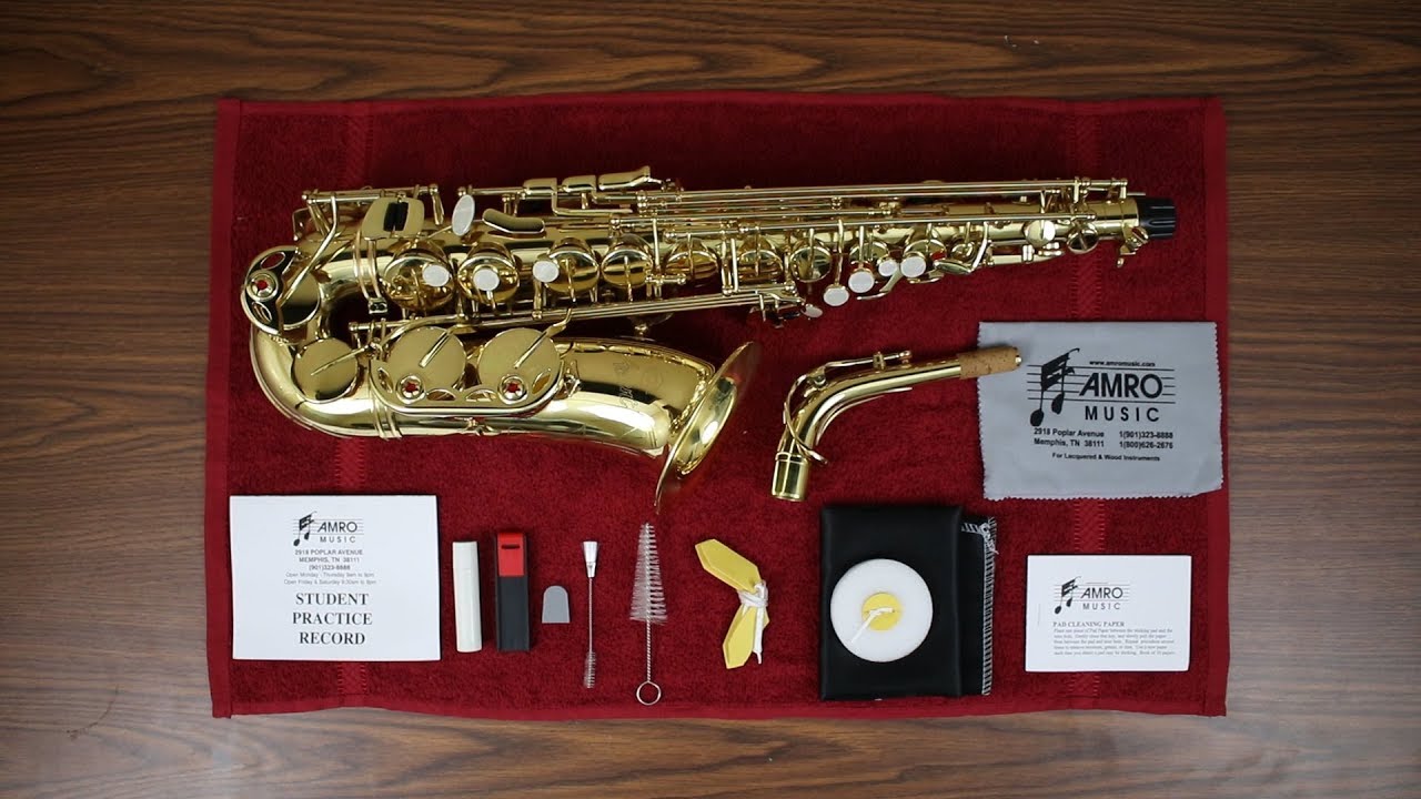 Detail Best Saxophone Cleaning Kit Nomer 45