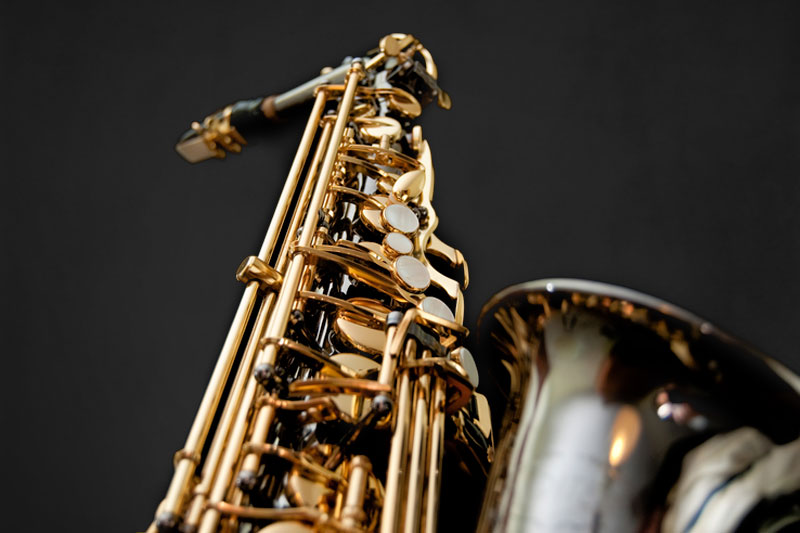 Detail Best Saxophone Cleaning Kit Nomer 50